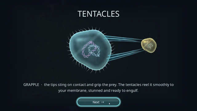 Tentacles lesson: four cilia become grappling whips