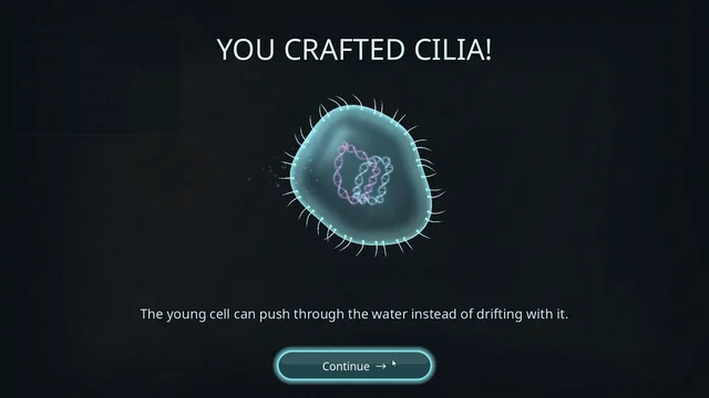 The young cell after growing its new cilia