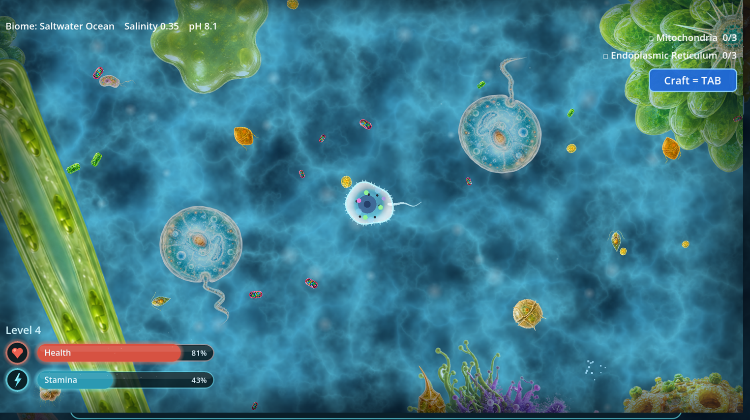 Sea life in Salty
